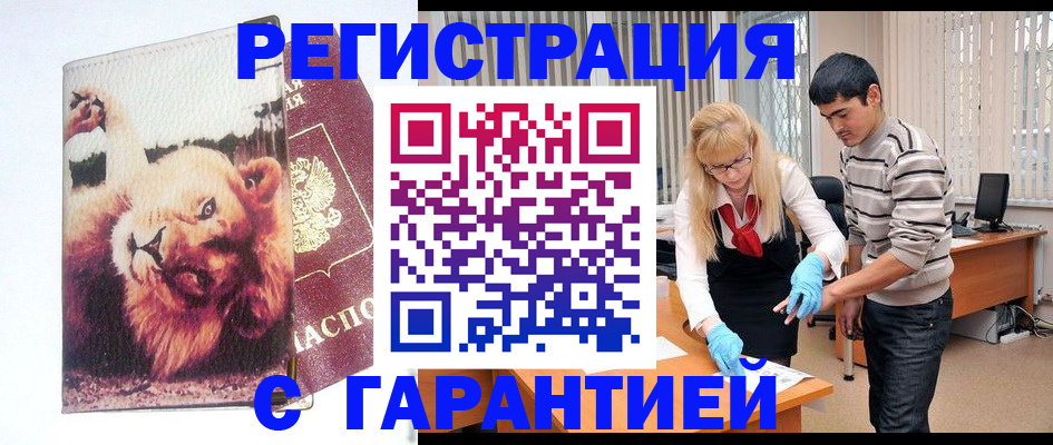 временная регистрация поиск в Мончегорске